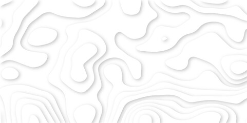 smooth flowing shapes in a paper cut map effect. layered white design resembling abstract terrain lines.