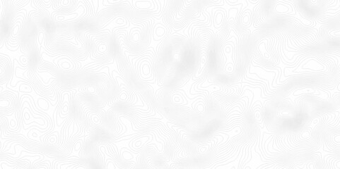 White topography topology vector white background fresh contour map texture. white seamless pattern Abstract background with a wave Topography and geography map grid abstract backdrop.
