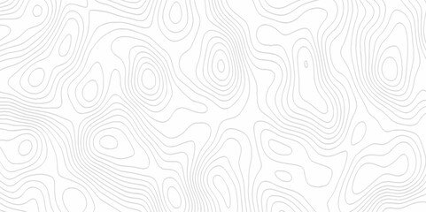 White topography topology vector white background fresh contour map texture. white seamless pattern Abstract background with a wave Topography and geography map grid abstract backdrop.