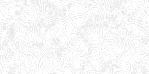 White topography topology vector white background fresh contour map texture. white seamless pattern Abstract background with a wave Topography and geography map grid abstract backdrop.