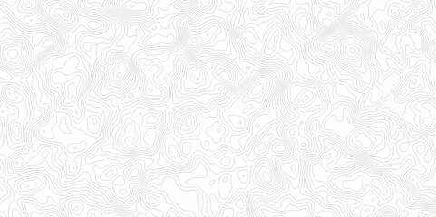 White topography topology vector white background fresh contour map texture. white seamless pattern Abstract background with a wave Topography and geography map grid abstract backdrop.