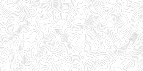 White topography topology vector white background fresh contour map texture. white seamless pattern Abstract background with a wave Topography and geography map grid abstract backdrop.