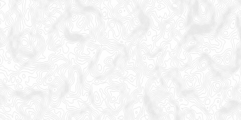 White topography topology vector white background fresh contour map texture. white seamless pattern Abstract background with a wave Topography and geography map grid abstract backdrop.