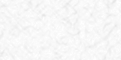 White topography topology vector white background fresh contour map texture. white seamless pattern Abstract background with a wave Topography and geography map grid abstract backdrop.