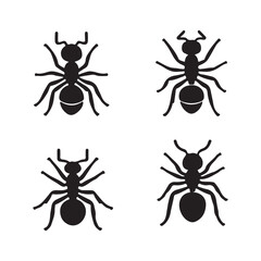 set of black ants
