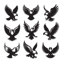 Obraz premium vector set of wings birds