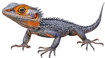 Fototapeta premium Lizard: A vibrant, eye-level studio shot of a lizard showcases its intricate textures and captivating features, highlighting its natural beauty and unique characteristics.