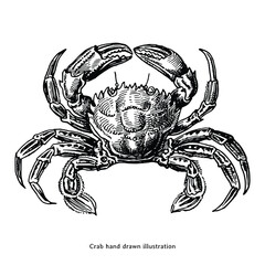 Hand Drawn Crab Illustration. Vintage Engraving Style