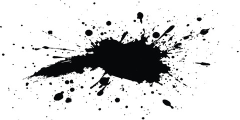 Vector simple black brush stroke on a clean white background. Abstract black in splash, paint, brush strokes, stain grunge isolated on white background,	
