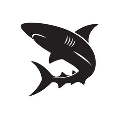shark vector illustration