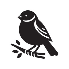 vector illustration of a bird