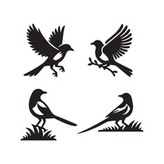set of silhouettes of birds