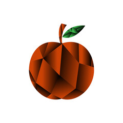 orange fruit illustration