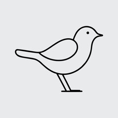 Hummingbird in flight illustrated in single line drawing with floral element