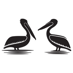 pelican bird on white vector