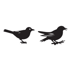 two birds on a vector