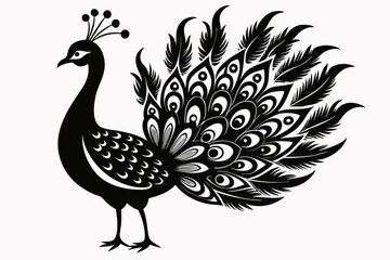 peacock silhouette line art vector illustration with a white background