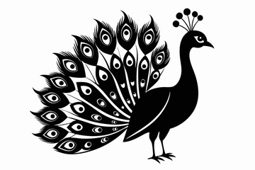 peacock silhouette line art vector illustration with a white background