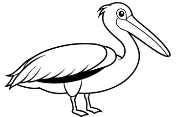 pelican silhouette line art vector illustration with a white background