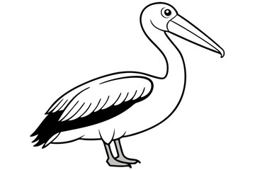 pelican silhouette line art vector illustration with a white background