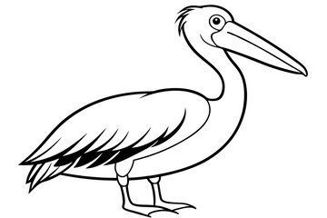 pelican silhouette line art vector illustration with a white background