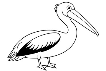 pelican silhouette line art vector illustration with a white background