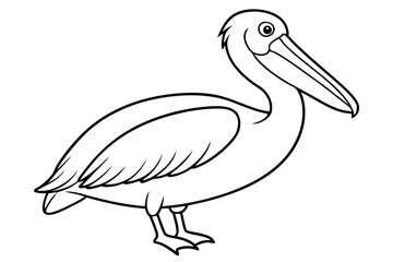 pelican silhouette line art vector illustration with a white background