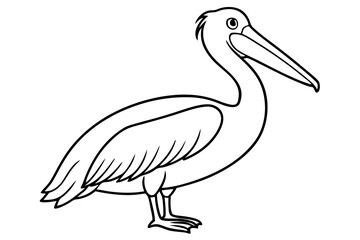 pelican silhouette line art vector illustration with a white background