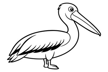 pelican silhouette line art vector illustration with a white background