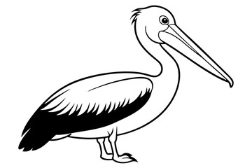 pelican silhouette line art vector illustration with a white background