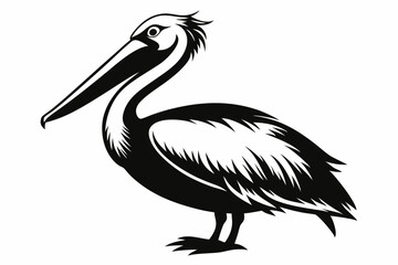 pelican silhouette line art vector illustration with a white background