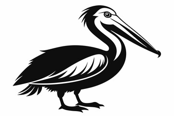 pelican silhouette line art vector illustration with a white background