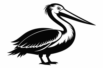 pelican silhouette line art vector illustration with a white background