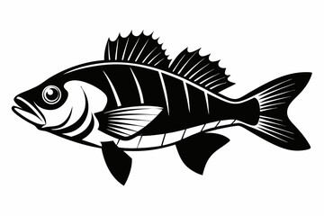 perch silhouette line art vector illustration with a white background