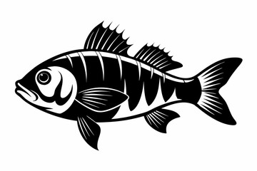 Fototapeta premium perch silhouette line art vector illustration with a white background
