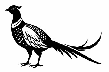 Fototapeta premium pheasant silhouette line art vector illustration with a white background