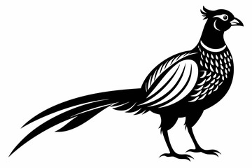 pheasant silhouette line art vector illustration with a white background