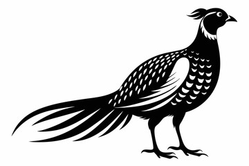 pheasant silhouette line art vector illustration with a white background