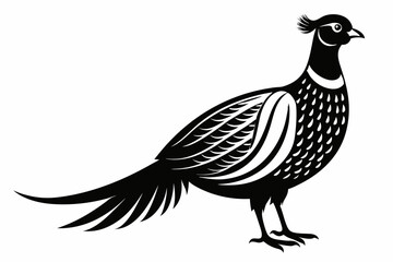 pheasant silhouette line art vector illustration with a white background