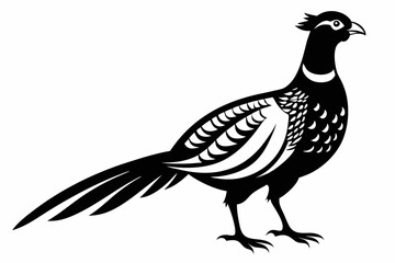 pheasant silhouette line art vector illustration with a white background