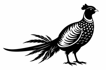 pheasant silhouette line art vector illustration with a white background