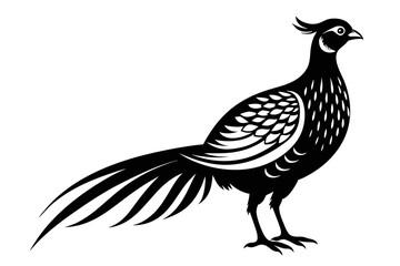 pheasant silhouette line art vector illustration with a white background
