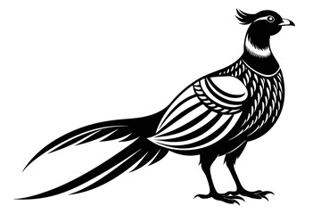 pheasant silhouette line art vector illustration with a white background