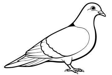 pigeon silhouette line art vector illustration with a white background