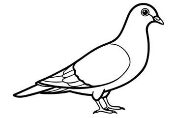 pigeon silhouette line art vector illustration with a white background