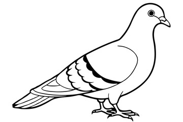 pigeon silhouette line art vector illustration with a white background