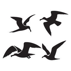 vector illustration of a flying bird