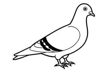 pigeon silhouette line art vector illustration with a white background