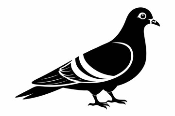 pigeon silhouette line art vector illustration with a white background