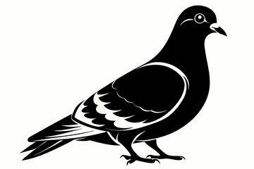 pigeon silhouette line art vector illustration with a white background